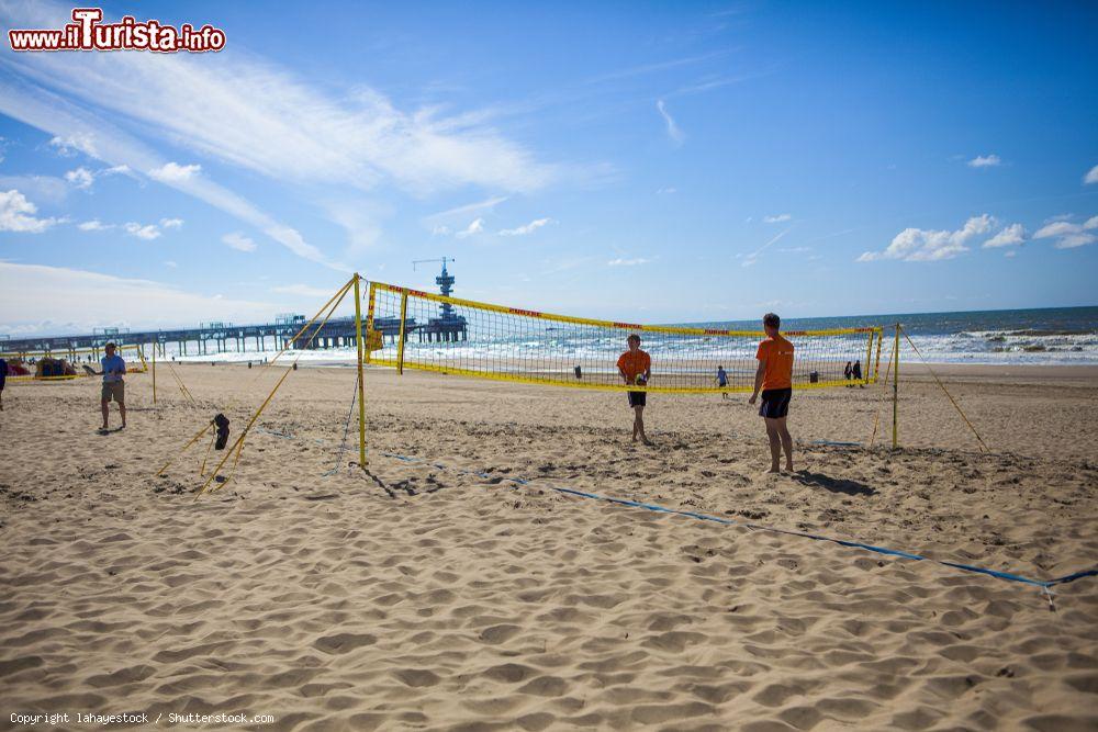 Immagine Un campo da beach volley a L'Aia (Olanda) - © lahayestock / Shutterstock.com