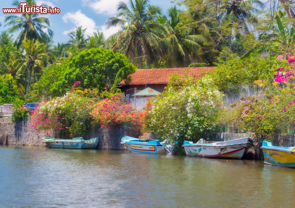 Immagine Un canale nella città di Negombo, località di 145.000 abitanti sulla costa dello Sri Lanka.