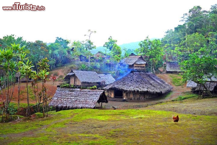 Immagine Un caratteristico villaggio dell'isola Espiritu Santo, arcipelago Vanuatu. Quest'isola, la più grande dell'arcipelago delle Vanuatu, è una popolare meta turistica grazie ai suoi relitti e alle barriere coralline.