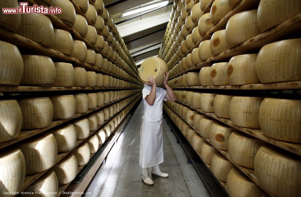 Immagine Un caseificio del consorzio Parmigiano Reggionano nel terriotrio comunale di Fidenza, Emilia-Romagna - © Alessia Pierdomenico / Shutterstock.com