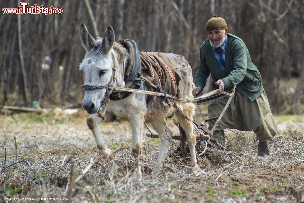 Immagine Un contadino lavora la terra nei pressi di Nigde, Turchia. Qui i campi si arano ancora con antichi metodi e l'ausilio di asini - © sezer66 / Shutterstock.com