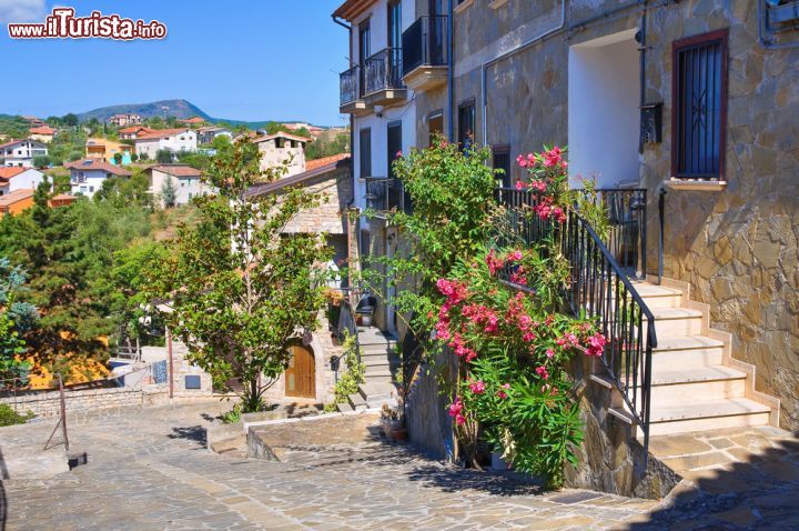 Immagine Un delizioso angolo del borgo di Satriano di Lucania, Basilicata. A chiunque lo attraversi, il borgo offre suggestivi scorci panoramici fra splendidi portali in ferro, pittoreschi murale e palazzi antichi - © Mi.Ti. / Shutterstock.com