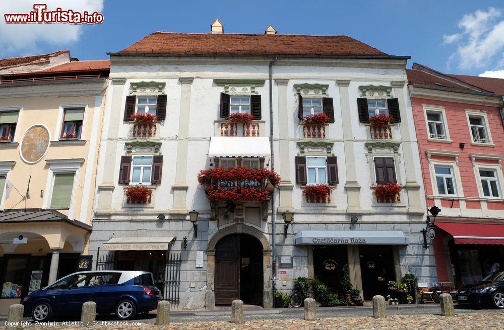 Immagine Un edificio del centro storico di Ptuj, cittadina sulla rive del fiume Drava, Slovenia - © Zvonimir Atletic / Shutterstock.com