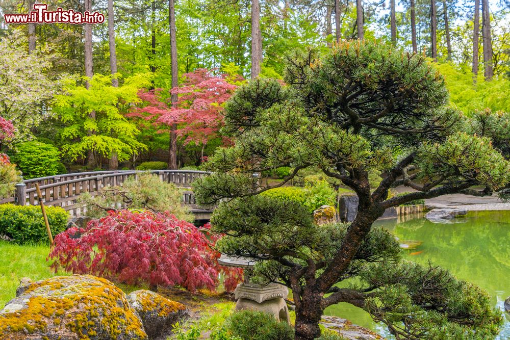 Immagine Un giardino giapponese nel Manito Park e Botanical Gardens di Spokane, Washington, Stati Uniti d'America.