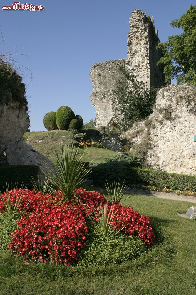 Immagine Un giardino tra le rovine del Castello di Domfront, in Francia.