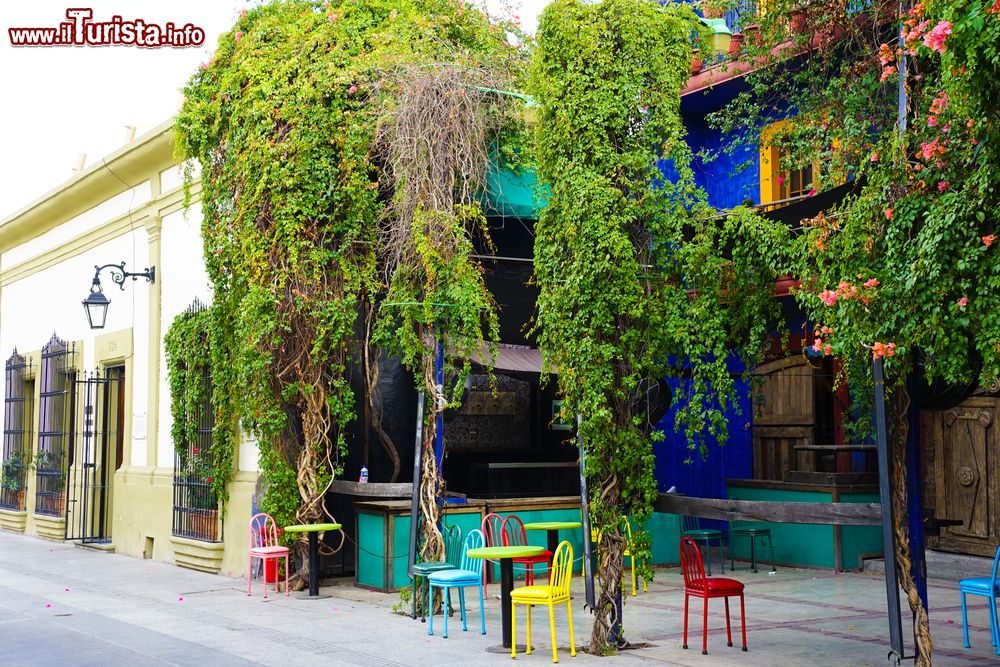 Immagine Un grazioso angolo della città di Monterrey, Messico: un edificio ricoperto da piante rampicanti e sedie colorate lungo la strada.