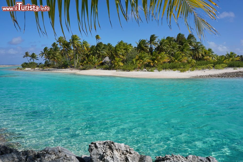 Immagine Un isolotto tropicale lambito dalle acque turchesi dell'Oceano Pacifico: siamo nell'atollo di Tikehau, Polinesia Francese.