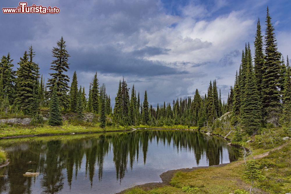 Immagine Un laghetto alpino nel Parco Nazionale di Revelstoke, British Columbia, Canada.