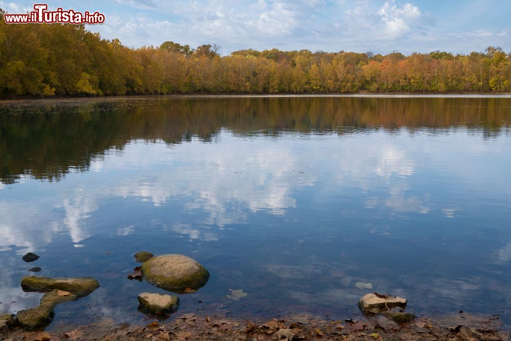 Immagine Un lago con foliage autunnale nei pressi di Indianapolis, Indiana.