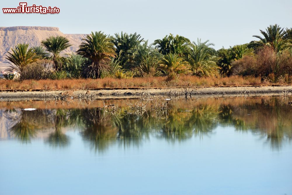 Immagine Un lago nell'oasi di Farafra, Egitto, deserto del Sahara. Questa località risale ai tempi dei faraoni anche se non vi sono monumenti a testimonianza di quel periodo.