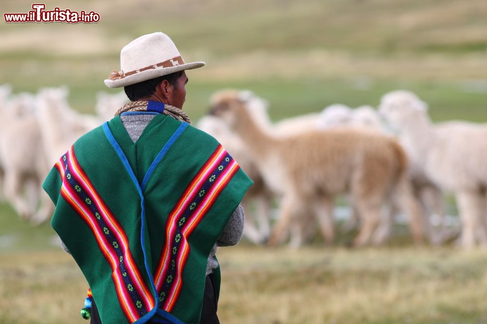 Immagine Un mandriano boliviano con il suo gregge nelle campagne vicino a Oruro.