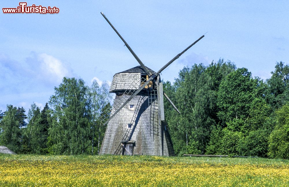 Immagine Un mulino a vento nei pressi di Rumsiskes, Lituania.
