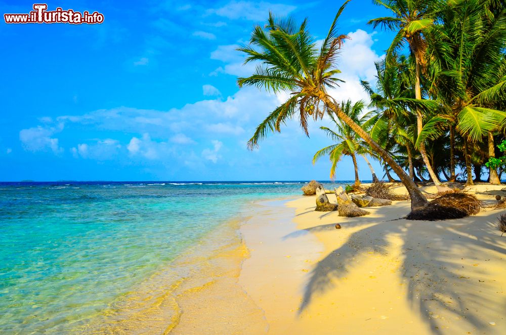 Immagine Un paradiso tropicale a San Blas, Panama. Acqua cristallina, sabbia dorata e palme caratterizzano Kuna Yala, isolotto indigeno di Panama.