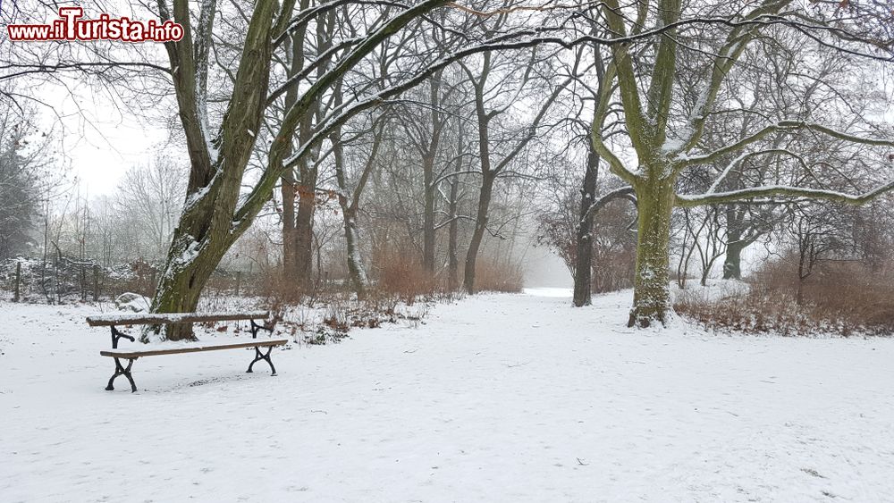 Immagine Un parco cittadino di Lipsia (Germania) in inverno con la neve.
