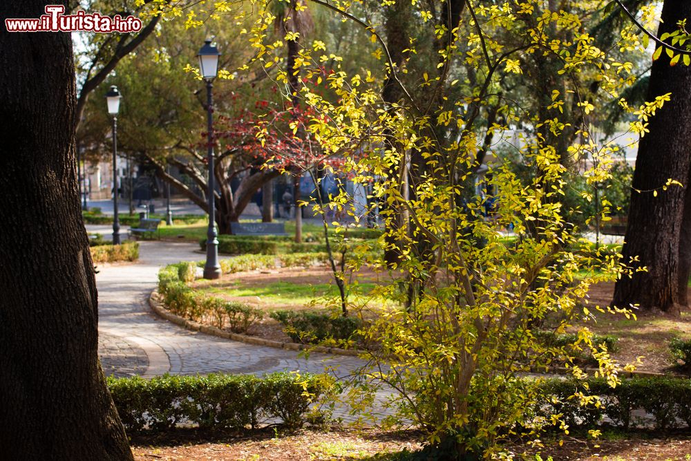 Immagine Un parco di Martina Franca, Puglia, in una giornata autunnale.