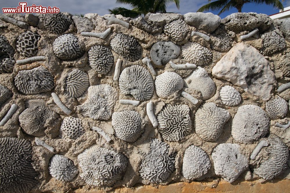 Immagine Un particolare della spiaggia messicana di Akumal, Riviera Maya, famosa per le tartarughe.