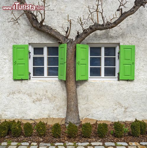 Immagine Particolare di una casa di Mittenwald, Baviera, Germania. Una vecchia vite fra le persiane verdi di un'abitazione di campagna - © Zyankarlo / Shutterstock.com