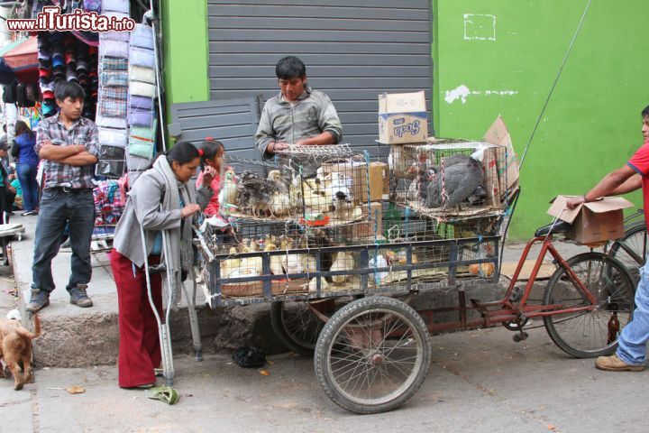 Immagine Un peruviano vende pollame da un carretto su bicicletta a Cajamarca, Perù - © Janmarie37 / Shutterstock.com