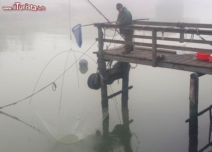 Immagine Un pescatore a Casalborsetti sulla riviera romagnola - © Caludio Tabanelli