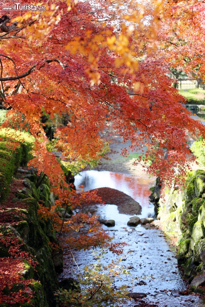 Immagine Un piccolo canale d'acqua nel parco di Nara (Giappone) in autunno. Siamo ai piedi del monte Wakakusa, noto anche come Mikasa.