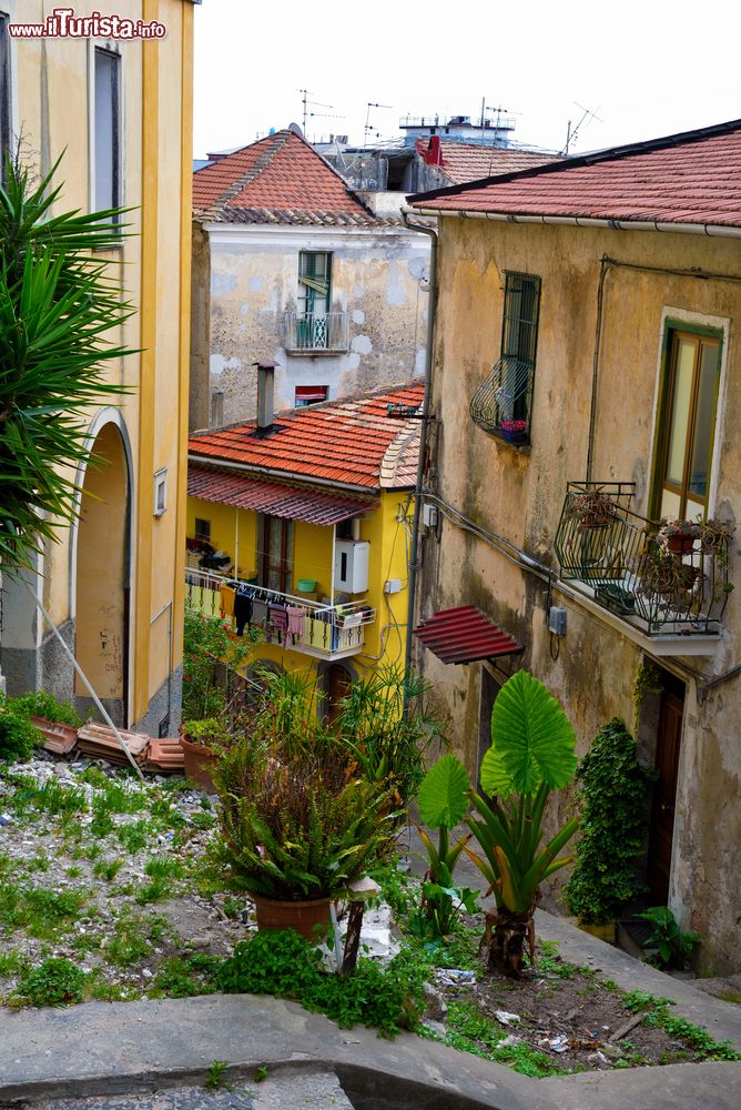 Immagine Un piccolo giardino tra le case di Eboli in Campania