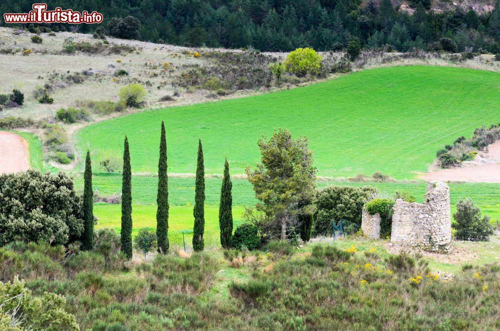 Immagine Un pittoresco paesaggio naturale nei pressi di Rennes-le-Chateau, Aude, Francia.