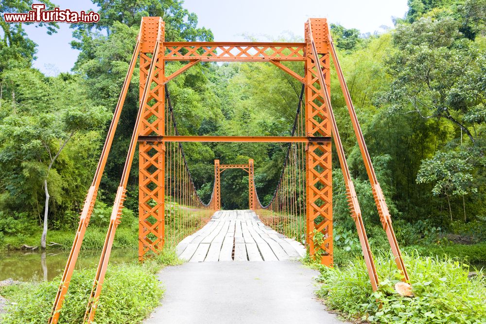 Immagine Un ponte sospeso a Blanchisseuse, isola di Trinidad, America Centrale. Siamo sulla costa settentrionale dell'isola a circa un'ora e mezza di auto dalla capitale Port of Spain.