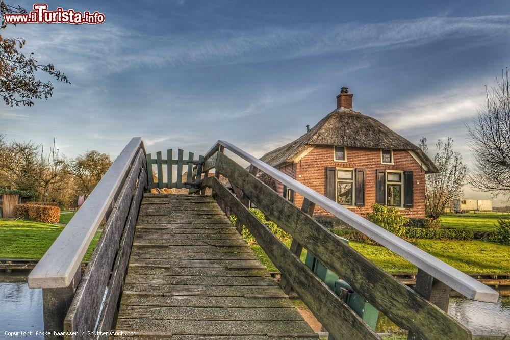 Immagine Un ponte sul canale di Giethoorn, Paesi Bassi. Questo ponticciolo in legno, uno degli oltre 170 costruiti nel paese, sorge nei pressi di una vecchia fattoria - © fokke baarssen / Shutterstock.com