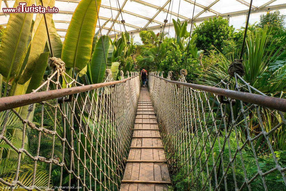 Immagine Un ponticello in legno allo zoo di Lipsia, Germania. Realizzato nel 1878 da Ernst Pinkert, questo parco faunistico si estende su un'area di 26 ettari - © MooNam StockPhoto / Shutterstock.com