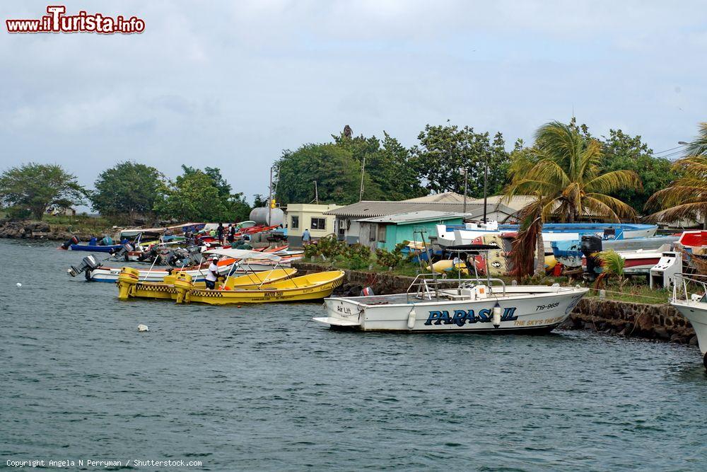 Immagine Un porticciolo turistico a Rodney Bay, isola di Saint Lucia - © Angela N Perryman / Shutterstock.com