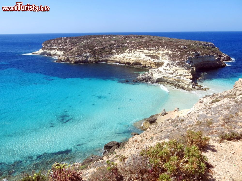 Immagine Un scorcio della costa sud di Lampedusa, con roccie bianche ed acqua turchese