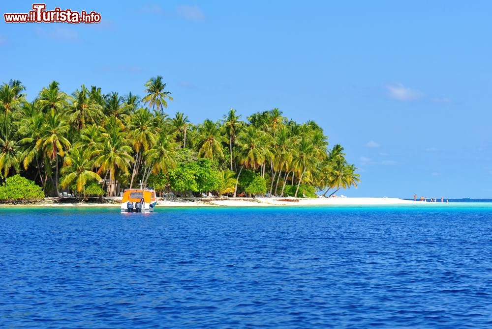 Immagine Un spiaggia circondata da palme: siamo in uno dei paradisi perduti delle Isole Laccadive.