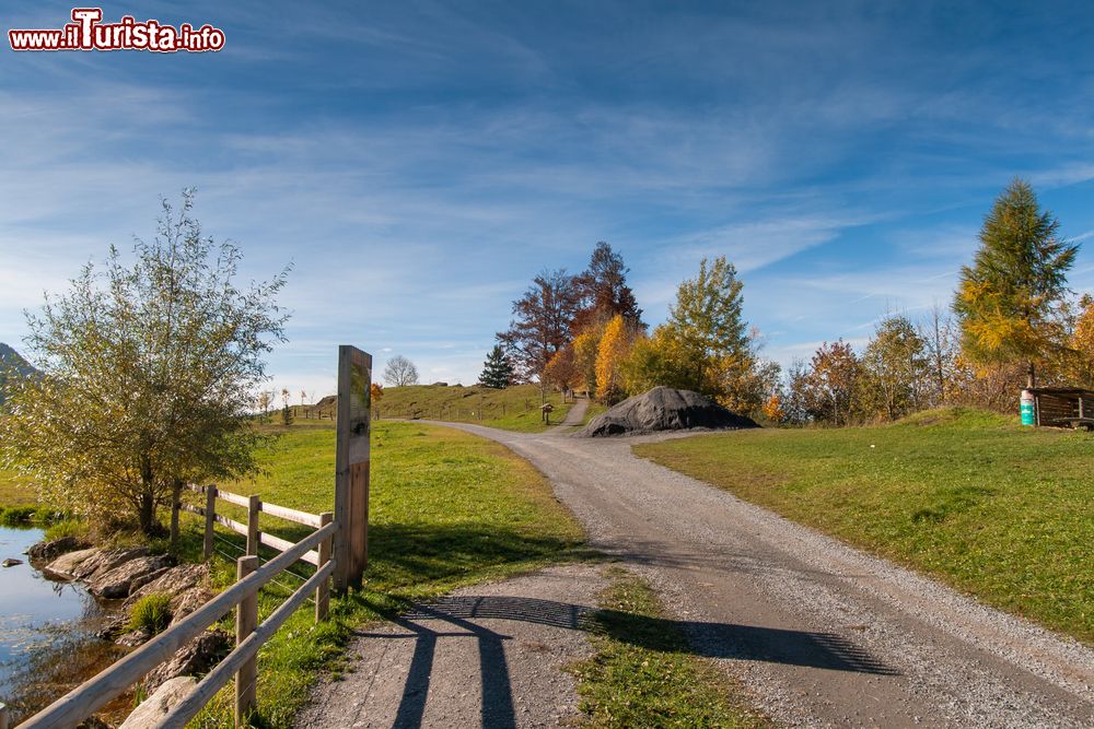 Immagine Un suggestivo panorama autunnale nei pressi del monte Rigi e del lago di Lucerna, Svizzera.