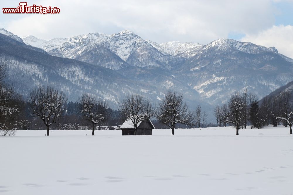 Immagine Un suggestivo panorana alpino di Bohinj in inverno, Slovenia. Questa valle è considerata una delle più belle di tutta la catena delle Alpi Giulie.