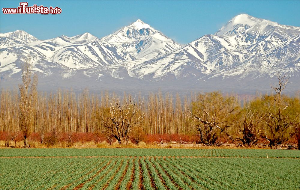 Immagine Un suggestivo scenario paesaggistico nei pressi di San Juan, Argentina.