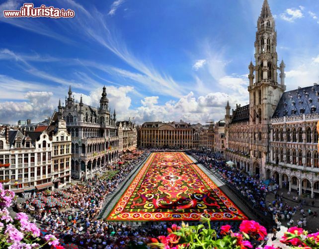 Immagine Tappeto di fiori sulla Grand-Place di Bruxelles. Questo magnifico tappeto di fiori multicolore può essere ammirato dal balcone del Municipio, aperto eccezionalmente ai visitatori