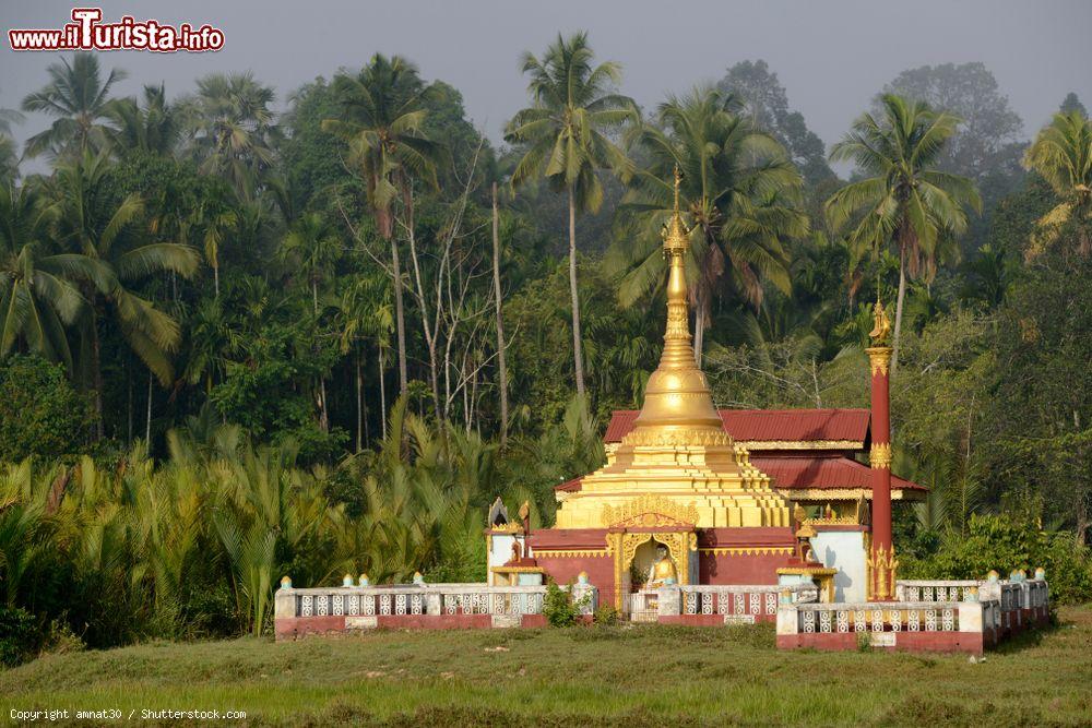 Immagine Un tempio nella campagna vicino a Myeik, sud del Myanmar. Sullo sfondo, la rigogliosa foresta tropicale - © amnat30 / Shutterstock.com