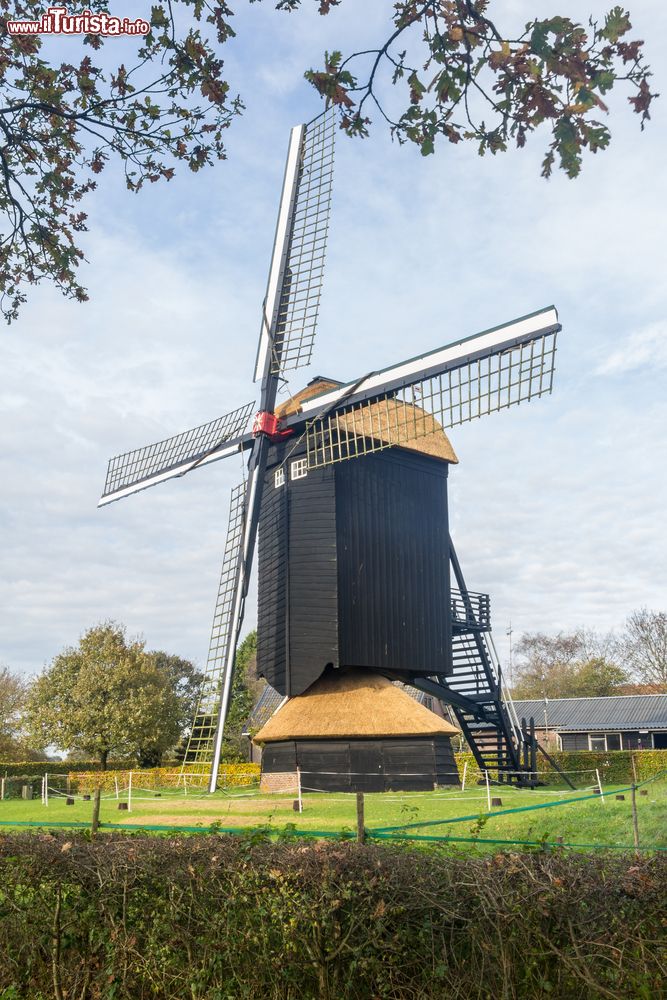 Immagine Un tipico mulino a vento nei pressi di Doesburg, Olanda.