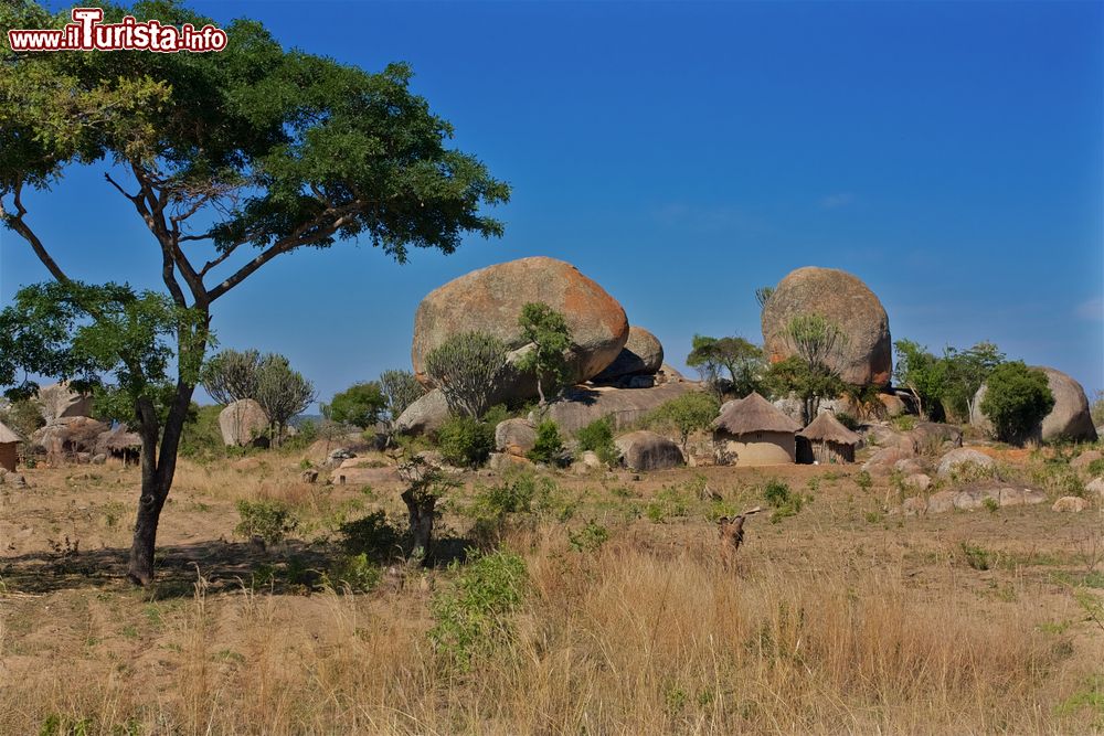 Immagine Un tipico villaggio di capanne nella provincia di Masvingo, Zimbabwe (Africa).