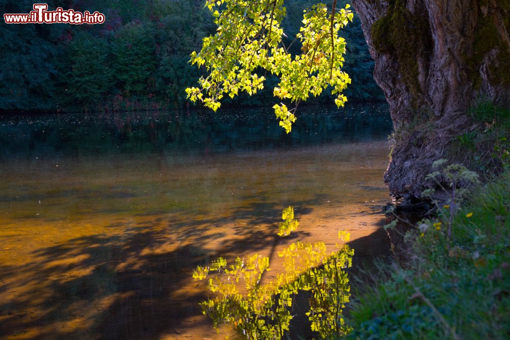 Immagine Un tratto del fiume Dordogne a Beaulieu, Francia, con le foglie di un albero riflesse nell'acqua.