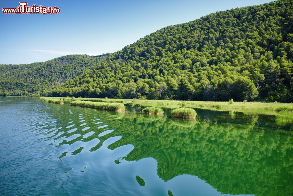 Immagine Un tratto del fiume Krka nella città di Skradin, Croazia: con un percorso di 73 km, la Cherca è uno dei corsi d'acqua più lunghi della Dalmazia.