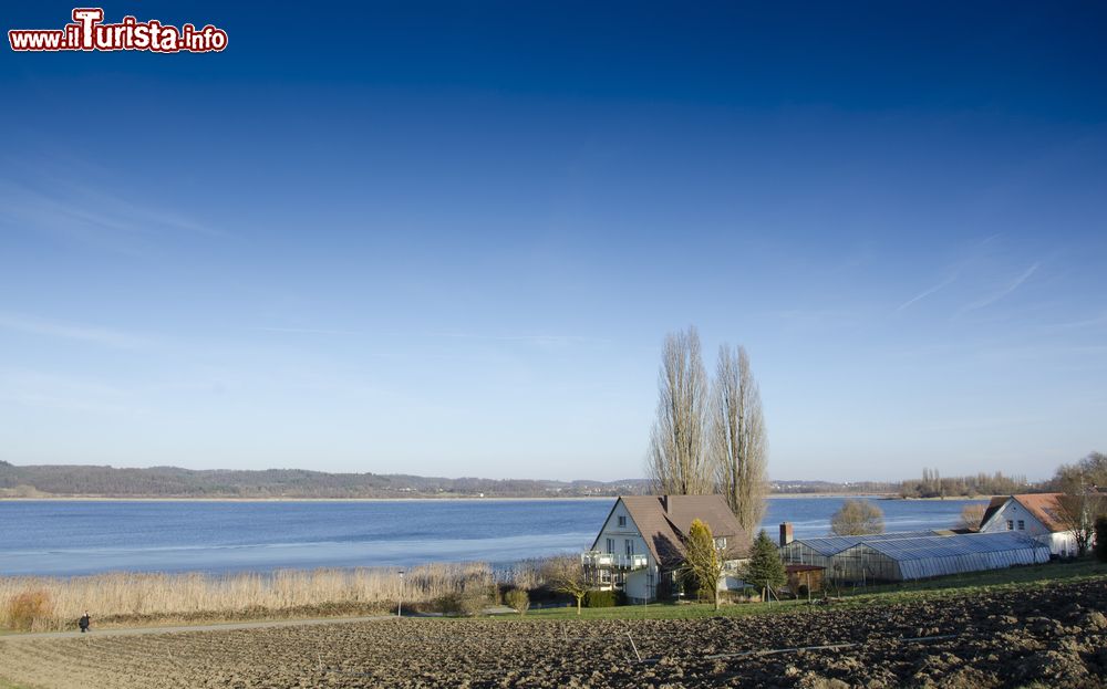 Immagine Un tratto del lago di Costanza visto dall'isola di Reichenau, Germania.