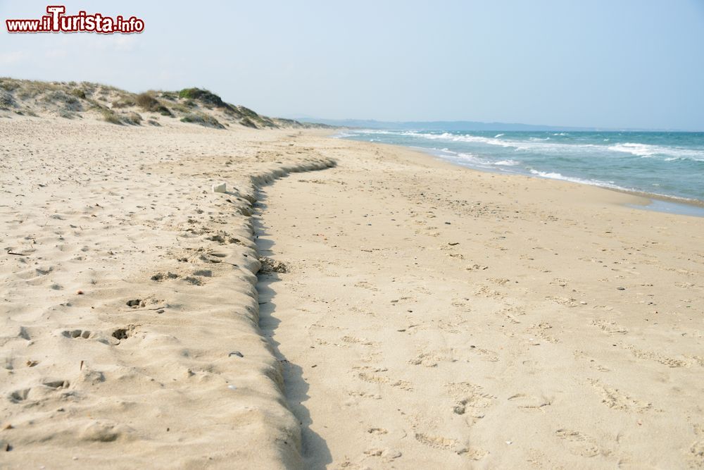 Immagine Un tratto del litorale di Marina di Sorso, Sardegna: questa cittadina a pochi chilometri da Sassari ha una spiaggia con fondo sabbioso che digrada rapidamente.