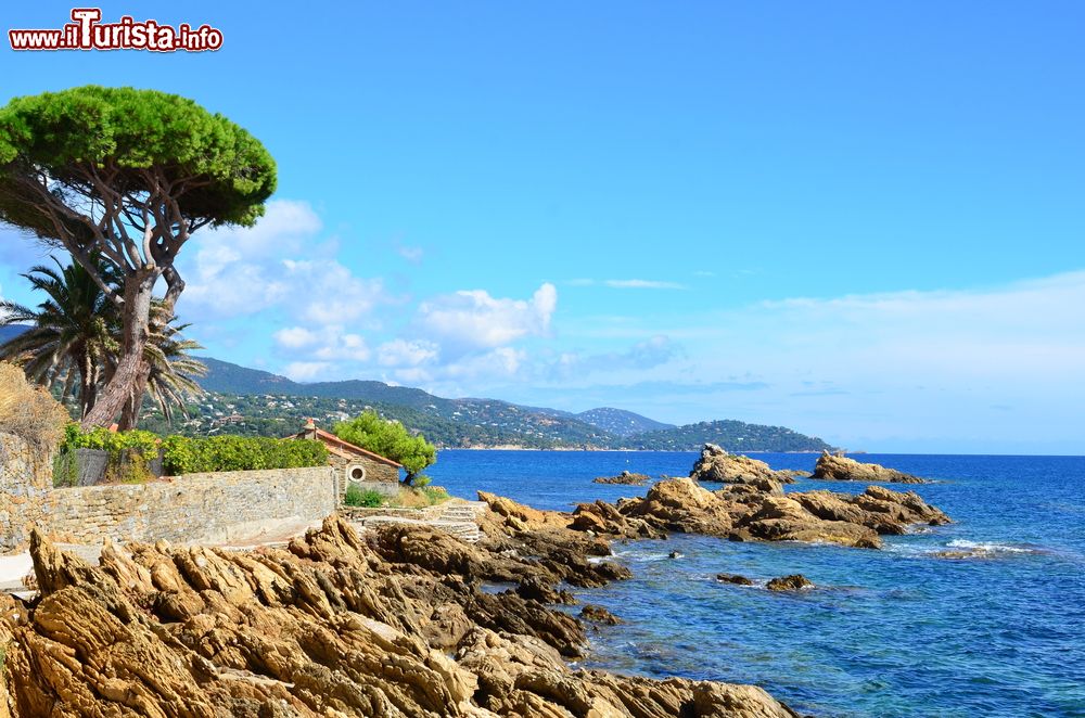 Immagine Un tratto del litorale selvaggio di Le Lavandou, Francia: il sentiero per la spiaggia di St.Clair sul Mediterraneo.