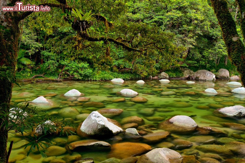 Immagine Un tratto del Mossman River al Daintree National Park, Australia. Le acque cristalline di questo fiume che attraversa la foresta pluviale al parco Daintree.