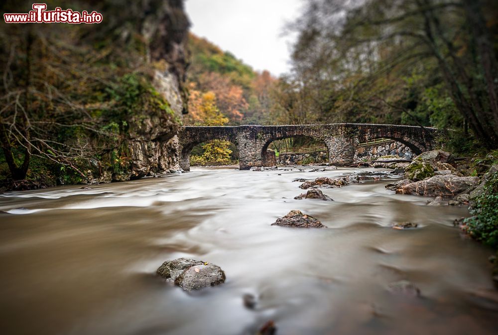 Immagine Un tratto del Rio Otito nella regione di Guipuzcoa, Spagna. Sullo sfondo, un antico ponte in pietra.