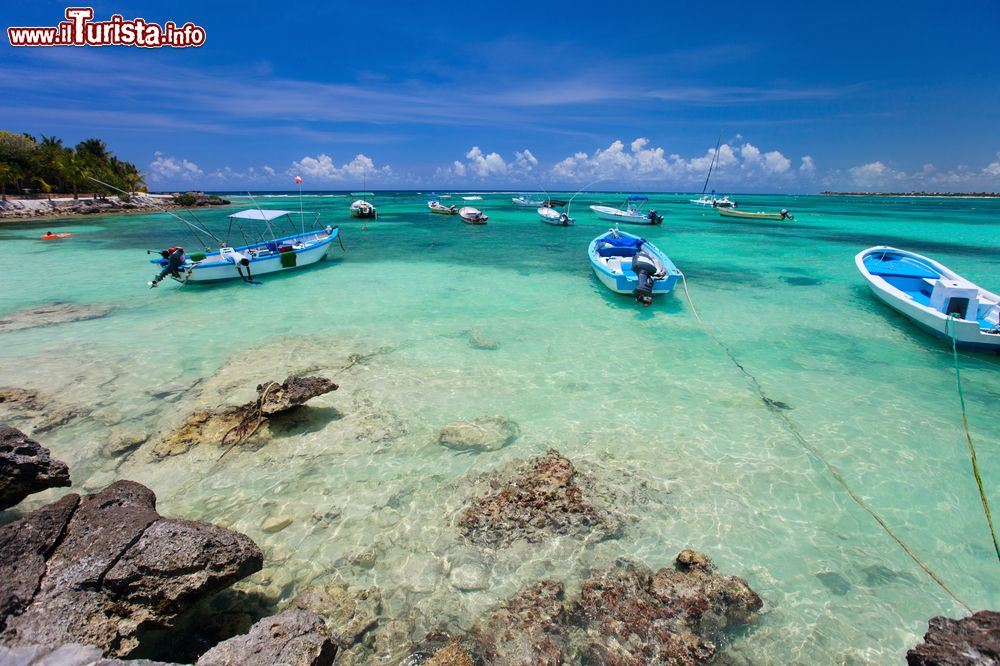 Immagine Un tratto della costa tropicale nei pressi di Akumal, Messico. Questa località si affaccia sul mare dei Caraibi fra le città di Playa del Carmen e Tulum.