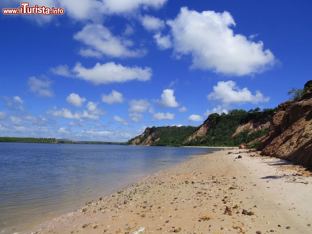 Immagine Un tratto della laguna di Roteiro, stato di Alagoas, Brasile.