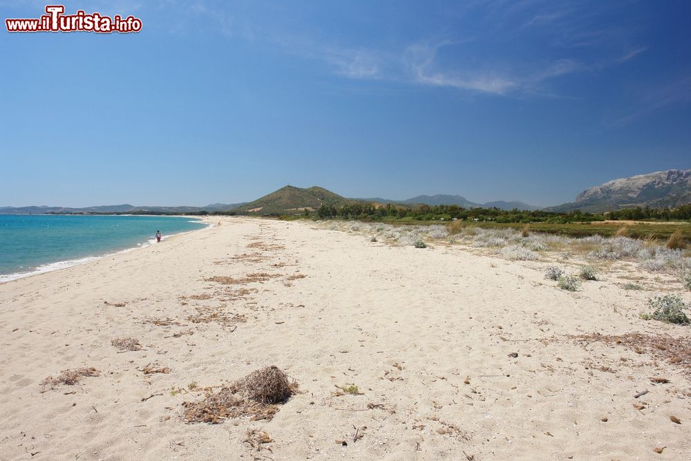 Immagine Un tratto dell'ampia spiaggia di Posada, Sardegna.