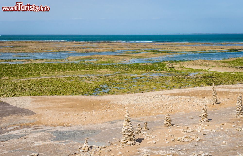 Immagine Un tratto di costa atlantica sull'isola di Ré, Francia. Situata fra lo stretto Pertuis Breton e quello d'Antioche, l'ile de Ré è un alternarsi di saline, vigneti, pinete, dune di sabbia e villaggi dalle case bianche.